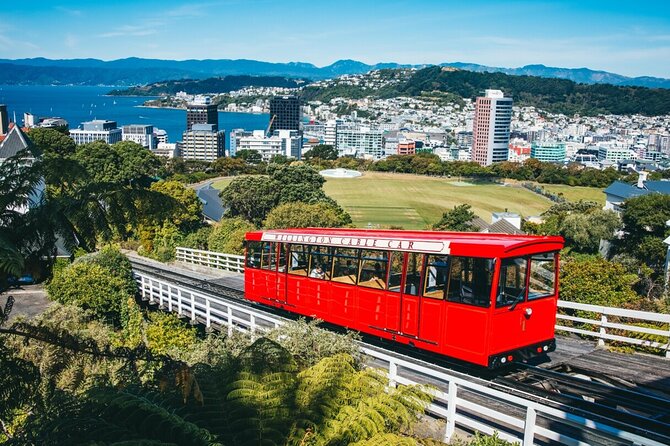 1/2 Day Guided Wellington Tour incl. Cable Car (Vans not buses) - Key points before you book