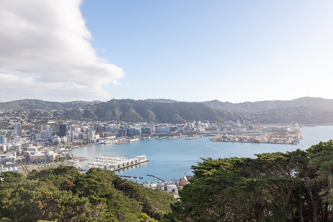 1/2 Day Guided Wellington Tour incl. Cable Car (Vans not buses) - Lyall Bay shows Wellington’s southern edge