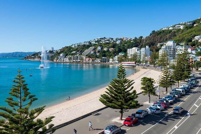 1/2 Day Guided Wellington Tour incl. Cable Car (Vans not buses) - Oriental Bay connects the coast with the city