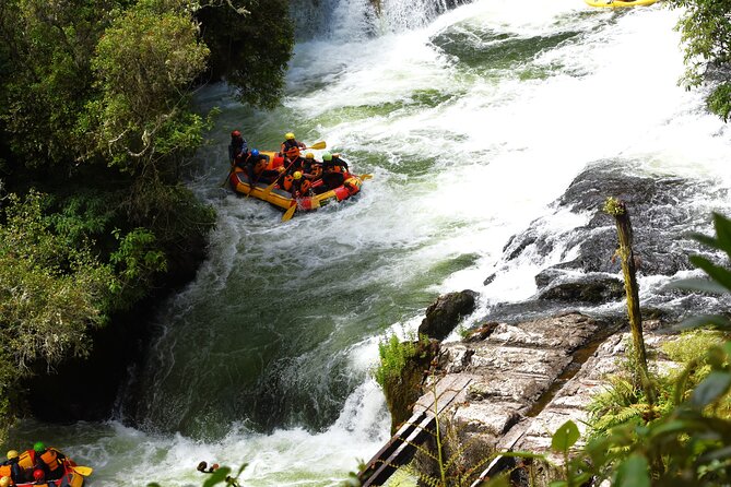 10 Day North to South Island NZ Private Tour from Auckland - Day 8: Queenstown Gardens, jet boating, and the gondola