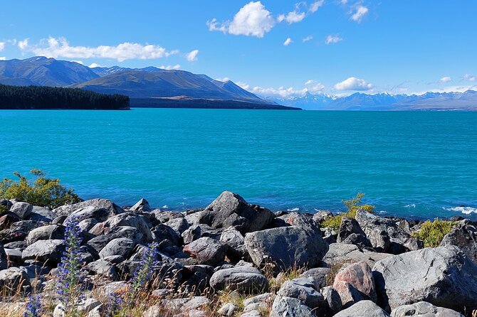 12 Day New Zealand Private Tour from Auckland to Queenstown - Day 4: The Northern Explorer to Wellington
