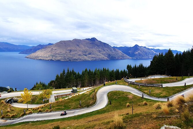 12 Day New Zealand Private Tour from Auckland to Queenstown - Day 2: Hobbiton, Rotorua’s redwoods, and evening food