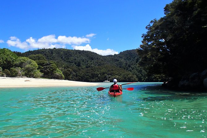 2 Day Freedom Kayak - Kayak Rental - New Zealand - Wildlife around Adele Island and Pinnacle Island
