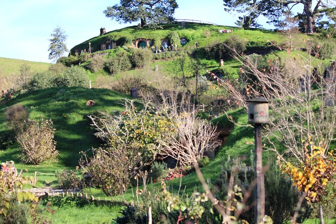 2-Day Hobbiton, Rotorua, Waitomo Caves Tour from Auckland with Accommodation - Leaving Auckland for Hobbiton