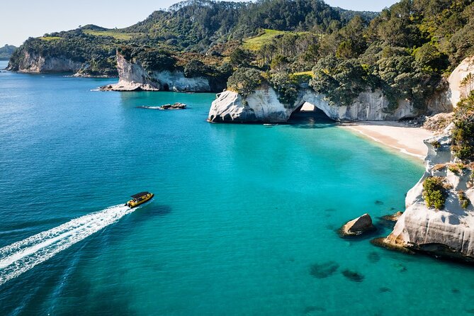 2 Hour Cathedral Cove and Volcanic Coast Cruise with Shade Canopy - Key points before you book