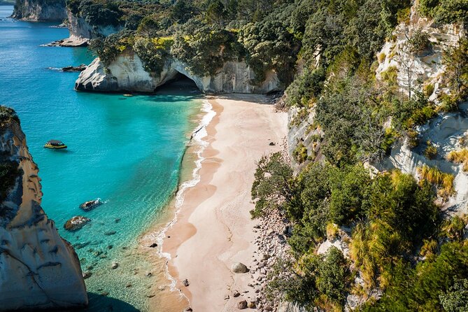 2 Hour Cathedral Cove and Volcanic Coast Cruise with Shade Canopy - Cooks Beach and the unusual blow hole