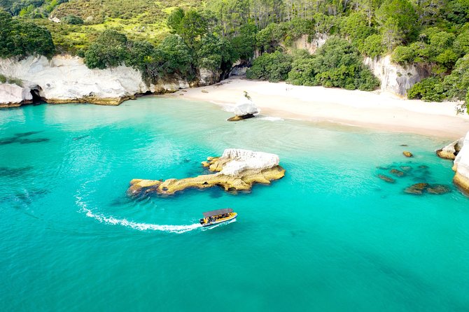 2 Hour Cathedral Cove and Volcanic Coast Cruise with Shade Canopy - Cathedral Cove from the marine reserve