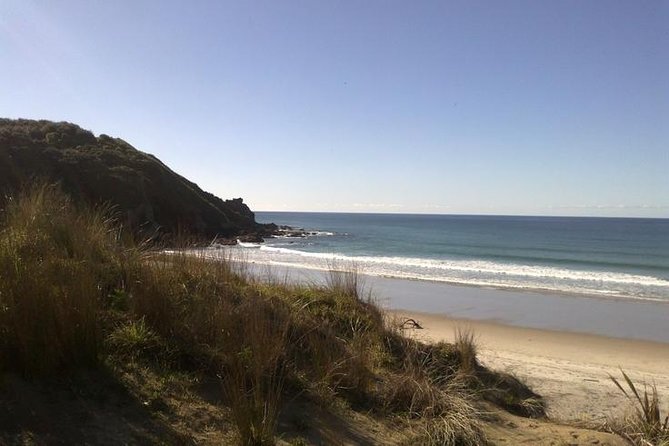 2 Hour Surf Lesson - Te Arai Beach - The skills that lead to your first ride