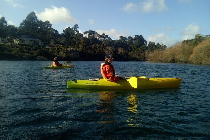 2-Hour Waikato River Guided Kayak Trip from Taupo - The Spa Park hot-water stop