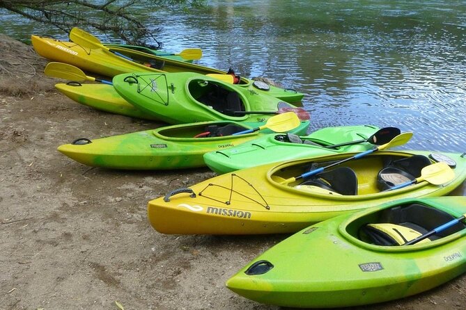 2-Hour Waikato River Guided Kayak Trip from Taupo - Passing Taupo Bungy and the river scenery