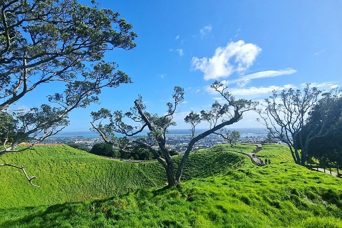 2025 Award Winning: Auckland City Highlights Half Day Tour - Small-group comfort, pickup, and physical effort
