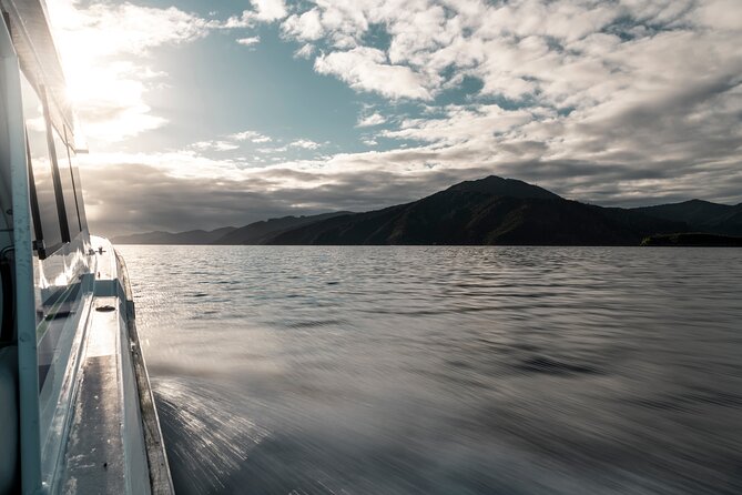 3.5 Hour Marlborough Sounds Delivery Cruise - Remote homes, resorts, and small docks