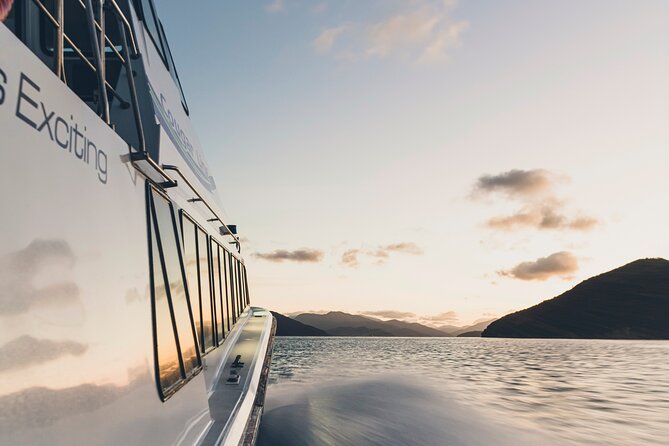 3.5 Hour Marlborough Sounds Delivery Cruise - What the skipper adds to the ride