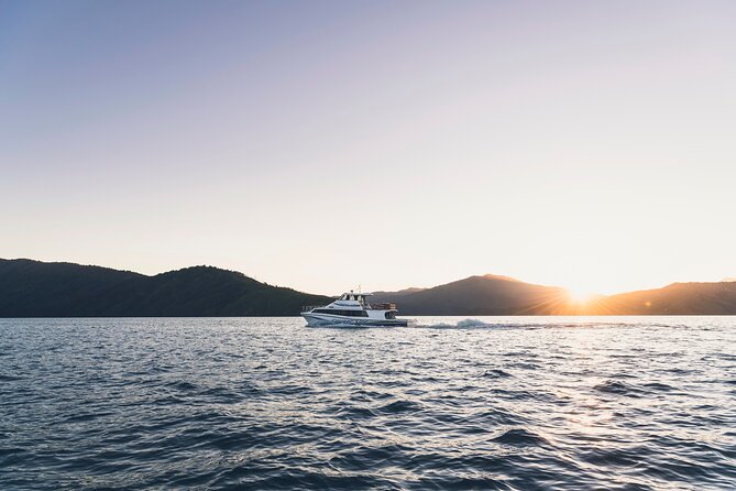 3.5 Hour Marlborough Sounds Delivery Cruise - The upper deck, wind, and comfort