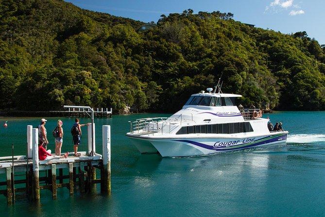 3.5 Hour Marlborough Sounds Delivery Cruise - Who will enjoy this most