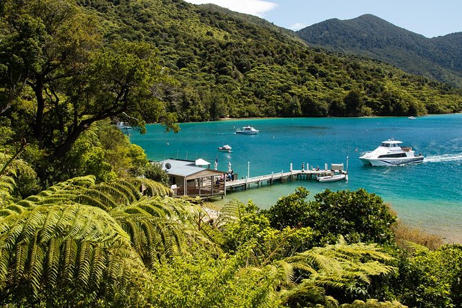 3.5 Hour Marlborough Sounds Delivery Cruise - Leaving Picton for Queen Charlotte Sound