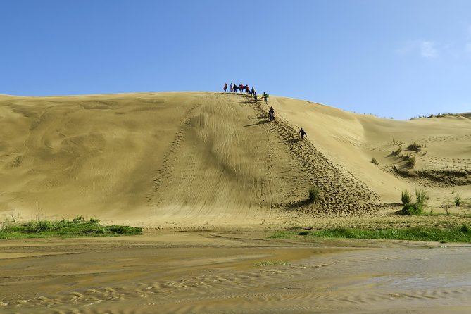 3 Day Bay Of Islands Tour from Auckland including Waitangi and Cape Reinga - The Bay of Islands cruise and the Hole in the Rock