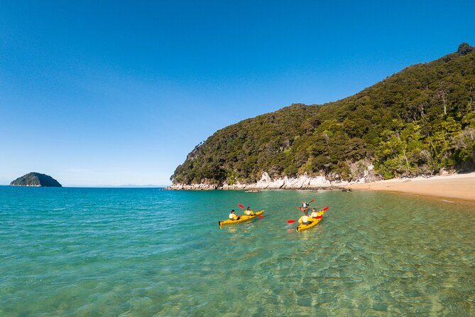 3 Day Unguided Kayaking starting in the Abel Tasman National Park New Zealand - Day three: returning to Marahau by 4:00pm