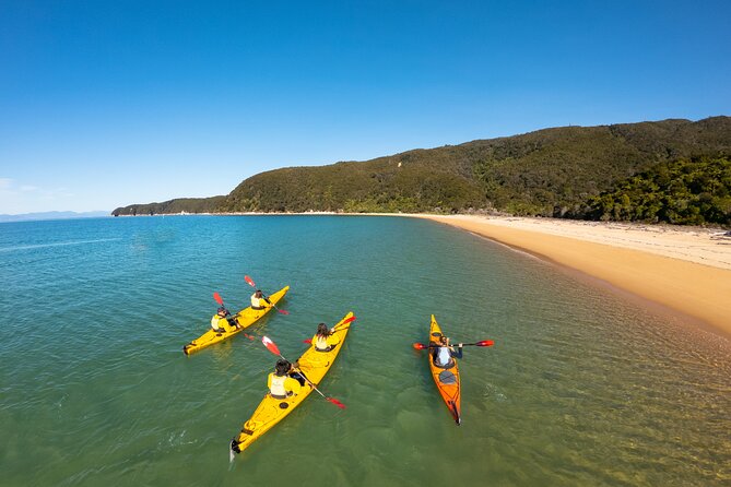 3 Day Unguided Kayaking starting in the Abel Tasman National Park New Zealand - Is the $225.89 price good value?