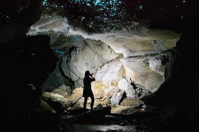 3-Hour Private Photography Tour in Waitomo Caves - Key points to know before you book