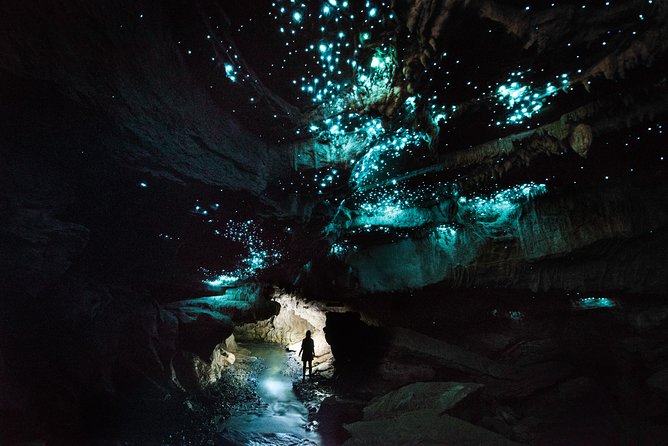 3-Hour Private Photography Tour in Waitomo Caves - Why this Waitomo cave tour feels different