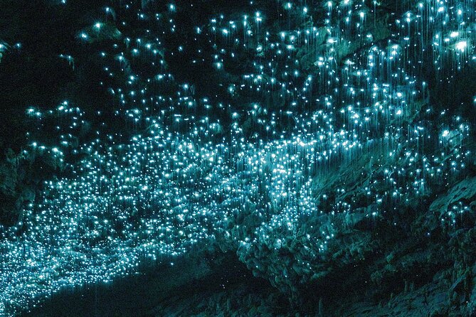 3-Hour Private Photography Tour in Waitomo Caves - The guide makes the private format worthwhile