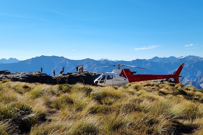 30-Minute Alpine Scenic Flight from Queenstown - Taking off from Queenstown for a higher view