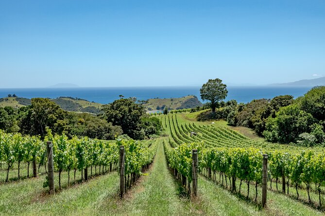 4.5-Hour Scenic Wine Tour with Private Guide & Up to 12 Tastings - What the price includes, and what it does not