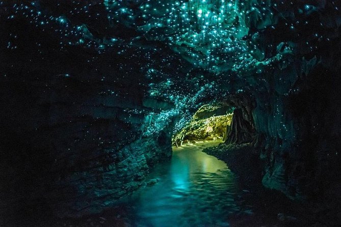 4-Day Auckland to Wellington via Rotorua Tour - Key points at a glance