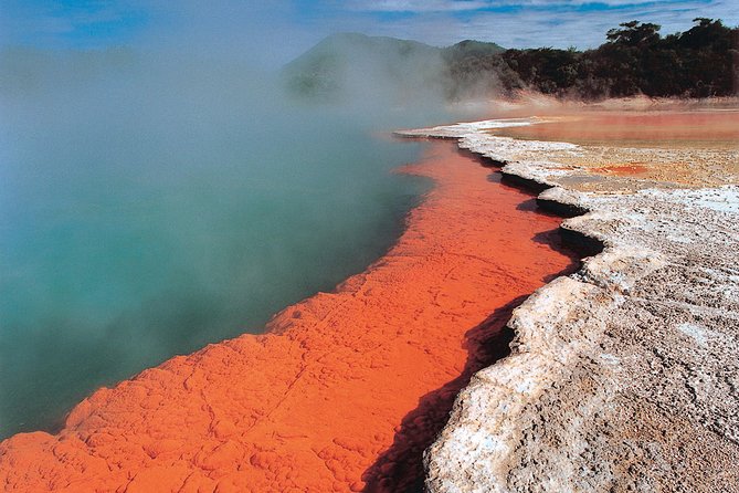 4-Day Auckland to Wellington via Rotorua Tour - Is $921.55 a fair price?