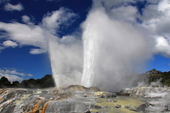 4-Day Auckland to Wellington via Rotorua Tour - Who should book this North Island trip?