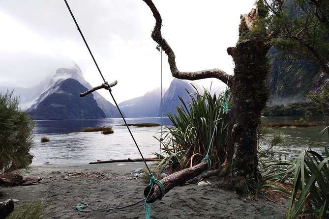 4 Day Tour to Milford Sound, Mount Cook & More from Auckland - Private transport, pace and customization