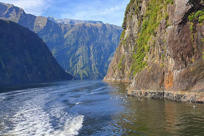 4 Day Tour to Milford Sound, Mount Cook & More from Auckland - Practical booking advice before you go
