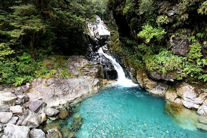 4 Day Tour to Milford Sound, Mount Cook & More from Christchurch - Day four: glowworms before Queenstown