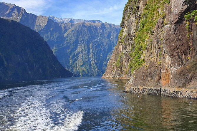 4 Day Tour to Milford Sound, Mount Cook & More from Christchurch - Comfort, pace, and practical details