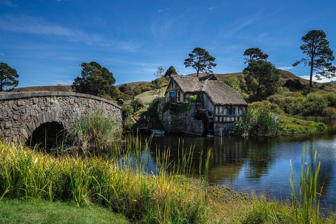 4-Day Wellington to Auckland via Rotorua Tour - Day 2: Whakarewarewa’s steam, mud, and living culture