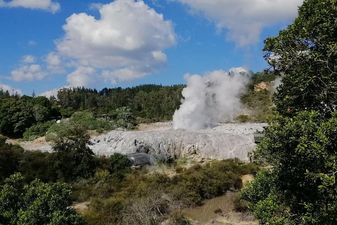 4-Day Wellington to Auckland via Rotorua Tour - Transport: smooth connections, changing suppliers