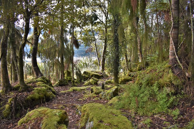 4-hour Lake Mapourika Kayak and Hike adventure, with Okarito Kiwi Sanctuary - What is included, and what you need to bring