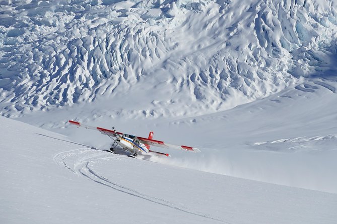 45-Minute Glacier Highlights Ski Plane Tour from Mount Cook - Seeing Hochstetter Icefall and Tasman Valley