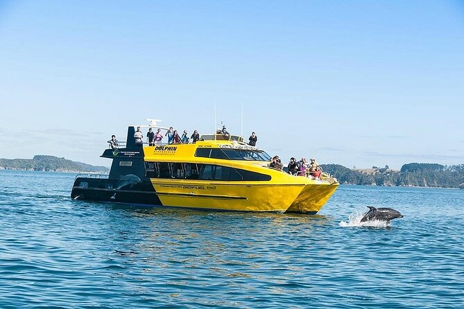 5-Day Bay of Islands, Auckland, Hobbiton, Rotorua & Waitomo Tour - Why this route works for a short New Zealand visit