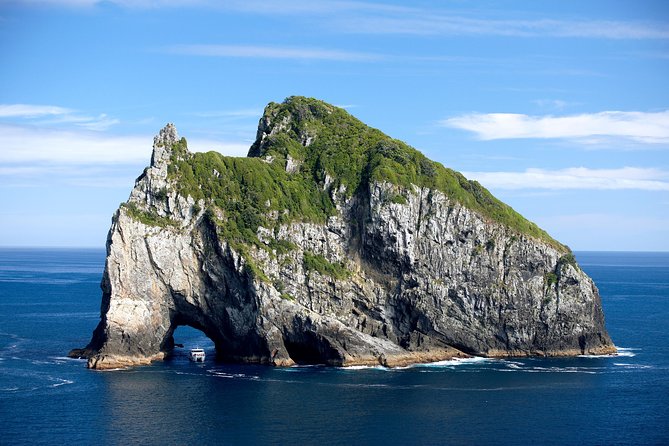 5-Day Bay of Islands, Auckland, Hobbiton, Rotorua & Waitomo Tour - Hotels, vehicles, and the small-group setup