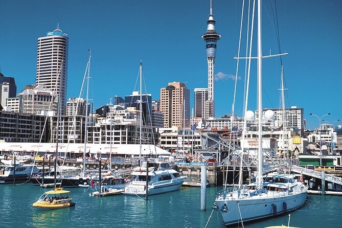 5-Day Bay of Islands, Auckland, Hobbiton, Rotorua & Waitomo Tour - Who should book this five-day tour