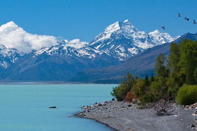 5-Day South Island Tour from Christchurch - Hotels, coaches, and the independent touring setup