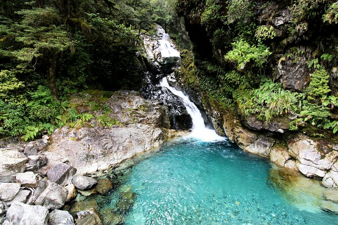5 Day South Island Tour from Queenstown including Stewart Island - Day 4: Lindis Pass, Lake Pukaki and Aoraki/Mount Cook