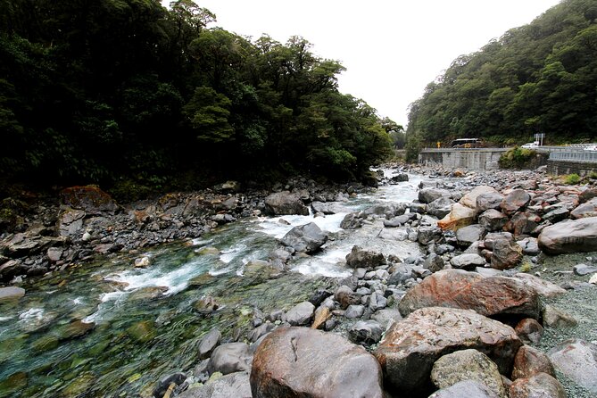 5 Day South Island Tour from Queenstown including Stewart Island - Who will enjoy this trip most
