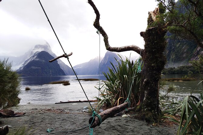 6 Day South Island New Zealand Private Tour from Auckland - Day 5: Milford Sound or Doubtful Sound from Queenstown