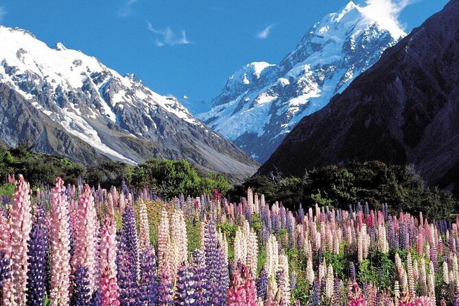 6-Day South Island Southern Heritage Tour from Christchurch - Why this route works for a first South Island visit