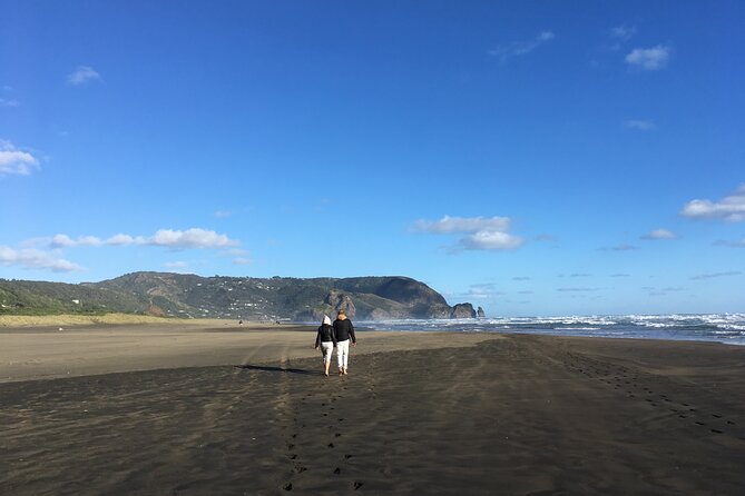6 Hours Sightseeing Tour in Auckland - Why this tour works for a first Auckland day