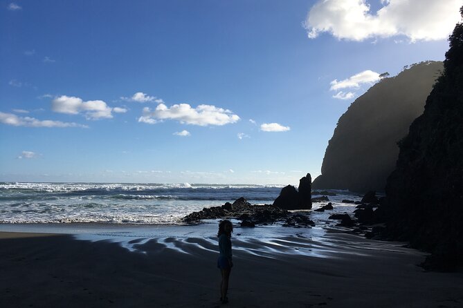 6 Hours Sightseeing Tour in Auckland - Guides and the feel of the day