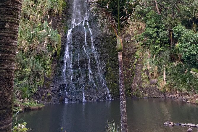 6 Hours Sightseeing Tour in Auckland - Fitness, food, and what to pack